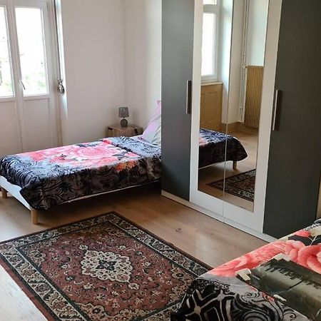 Grand 4P Strasbourg Orangerie 7 Personnes Proche D Allemagne Buitenkant foto