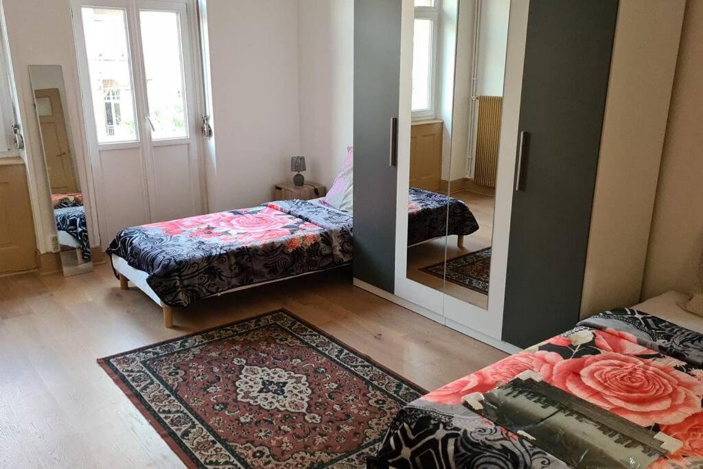 Grand 4P Strasbourg Orangerie 7 Personnes Proche D Allemagne Buitenkant foto